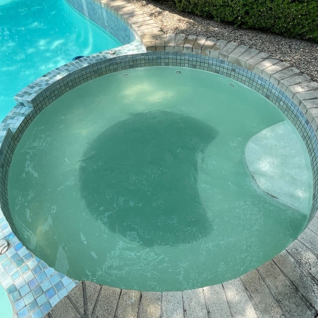Green to Clean — Algae Recovery